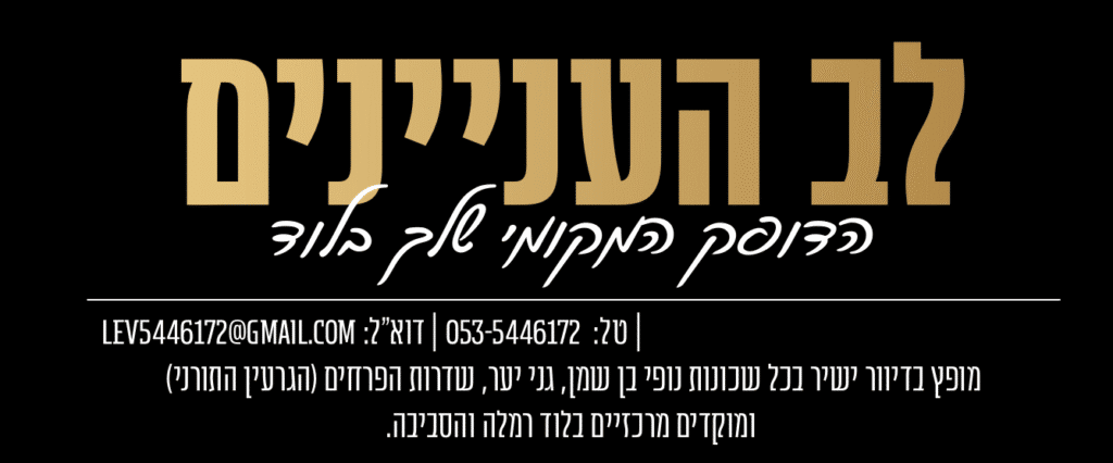 עיתון לב העיניינים