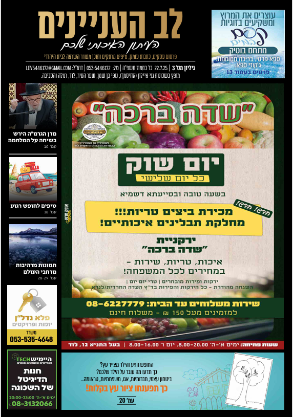 גיליון 3 לב העניינים