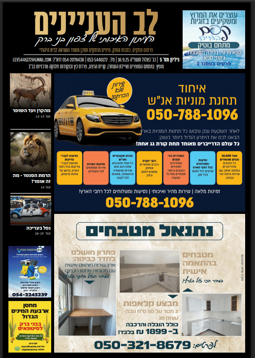 גיליון 5 לב העניינים